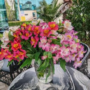 ����: �����