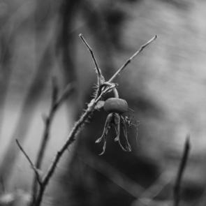 ����: �����������...