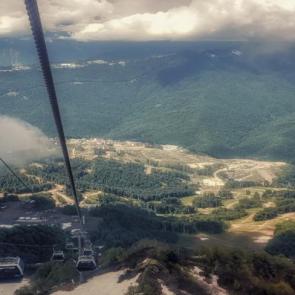 ����: ��������