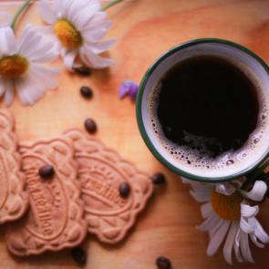 ���� ��������: ����� �����