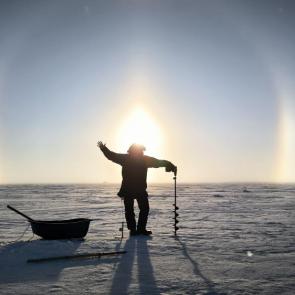 ����: ������ �����