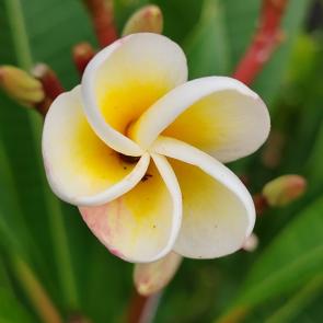 ����: ��������