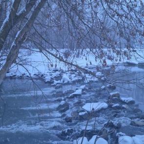 ����: ������