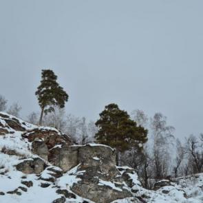 ����: ������� ����