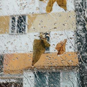 ������ � �����