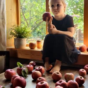 ���� ��������: � ��������