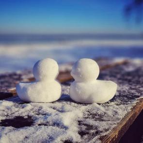 ���� ��������: 