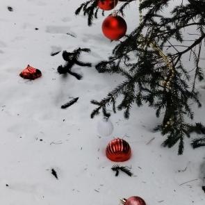 ����: ������� ���