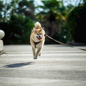 ����: � ������ 