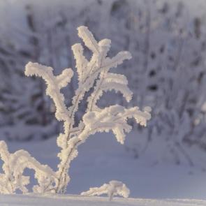 ����������� �����