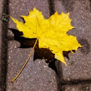 ����: 