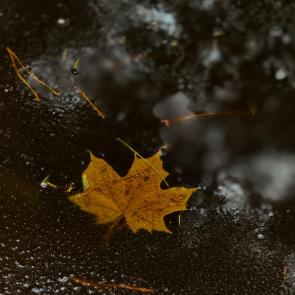 ����: ������ ���������