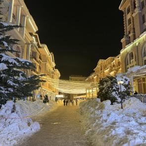 ������ ����������