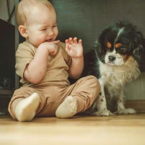 ����: ���������