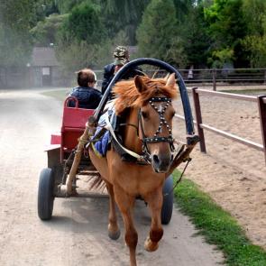 ����: ��, �������!