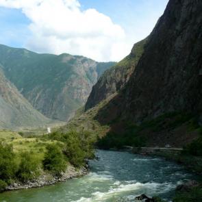 ���� ��������: 