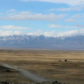 ���� ��������: 