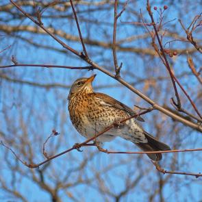 ����: �������� �����