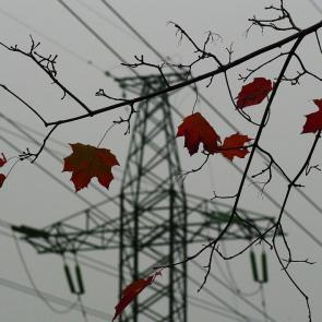 ����: ����� � ������