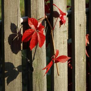 ����: �� ��� ���������� � ���� ��������