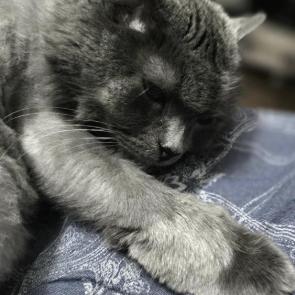 ��������