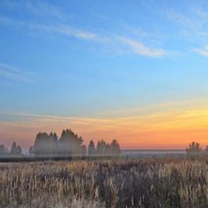 ����: ����