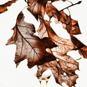 ����: ������� �����������.