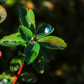 ����: ����