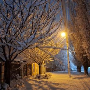 ���� ��������: 