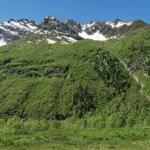 ����: ������ ������� ������ ��������