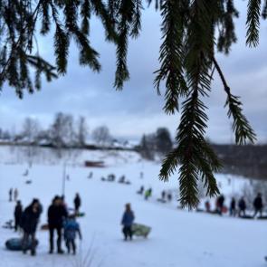 ����: �����, ������������ �������