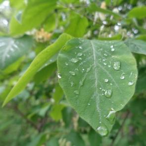 ����: � ������ �����