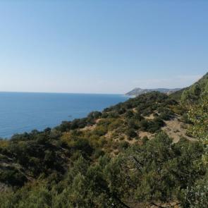 ���� ��������: �������� ����