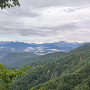 ����: ������