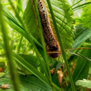 ���� ��������: 