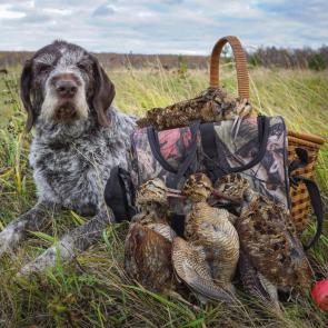 ����: ���� ����� �����