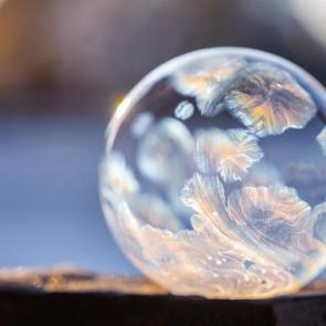 ����: ������ �����