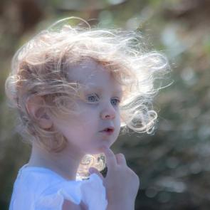 ����: ���������