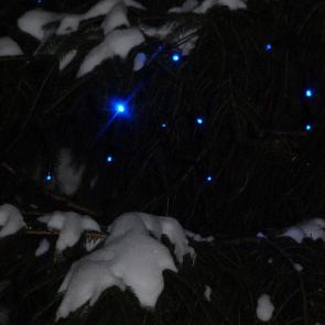 ����: �������������� ����