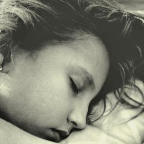 ����: �������������