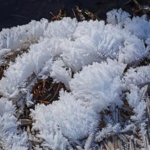 ����������� �����