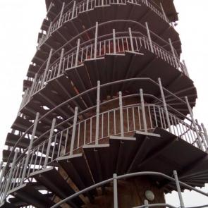 ������� ����