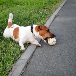 ����: ����! 