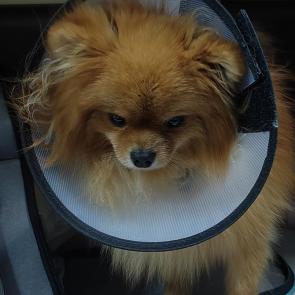 � ���� ����-������������