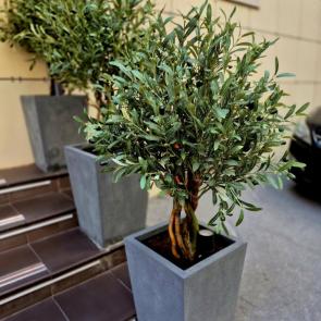 ���� ��������: ��� �����