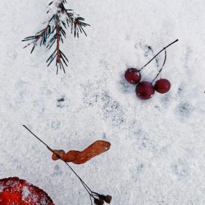 ���� � ����������