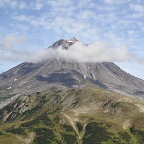 ������ ������