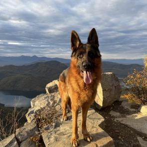 ����: ������ � ������