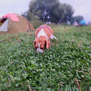 ����: � ������� ������