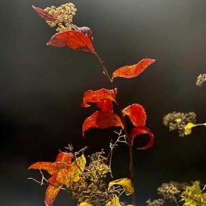 ����: �� ���� ������� ����